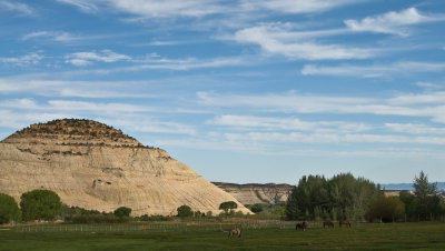 _DSC0404.jpg