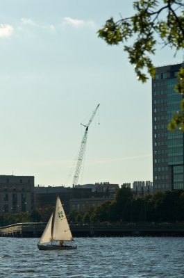 _DSC0050.jpg