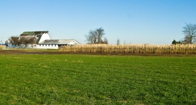 _DSC0009.jpg - Turkey Hill - Post-Thanksgiving