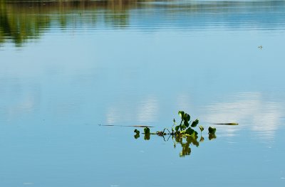 _DSC1036. River Vista