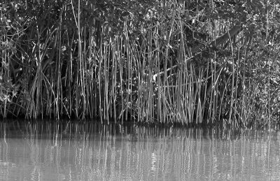 _DSC1048.