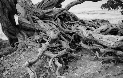_DSC1176.