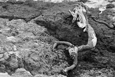 _DSC1185.