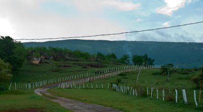_DSC1194. Fences IV