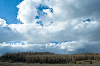 DSC_0053.jpg