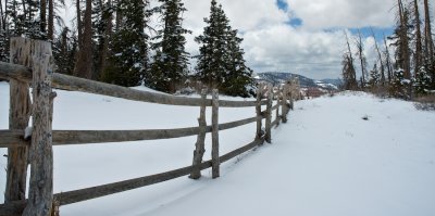 _DSC0065.jpg