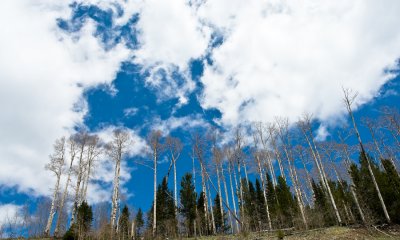 _DSC0079.jpg