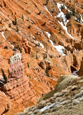_DSC0288.jpg