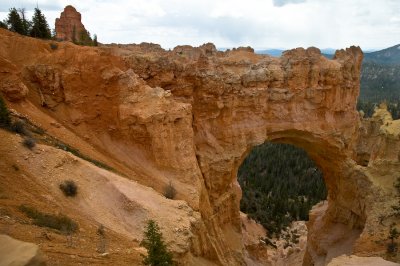 DSC_0045.jpg