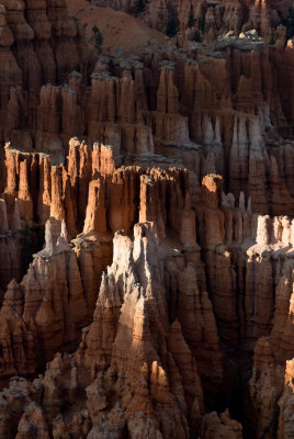 _DSC0109.jpg