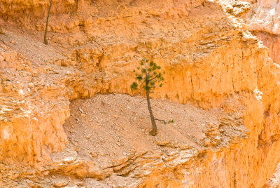 _DSC0226.jpg