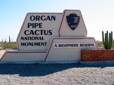 Organ Pipe Cactus Nat'l Mon, Arizona May 2007