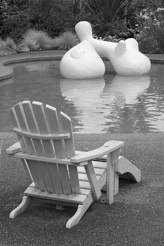 American garden pondBW.jpg