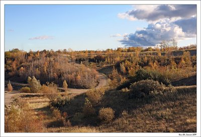 Golden autumn