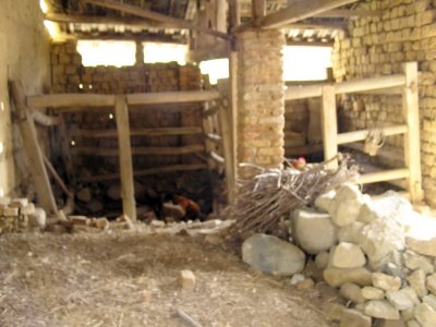 PA151215ES.jpg
