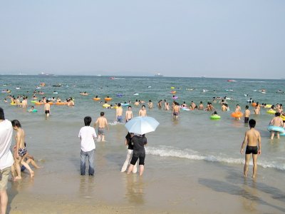 P6220188ESS.jpg