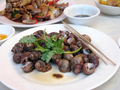 20080624010551686ES.jpg