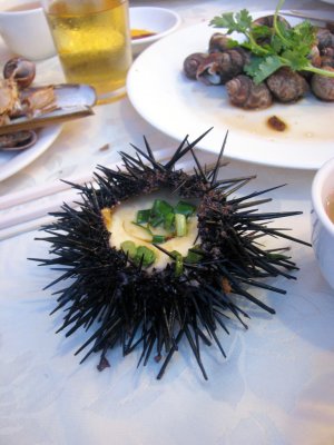 20080624010758558ERS.jpg