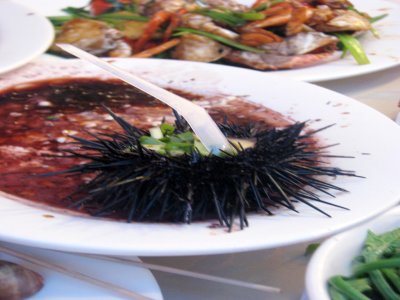 20080624010815483ES.jpg