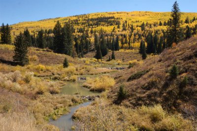 3 Beaver Dams