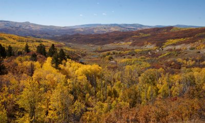 g5/44/401444/3/67737809.ONR7QKPG.jpg