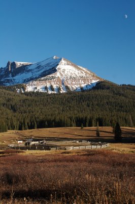 Colorado Fall Colors