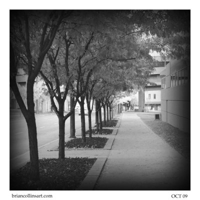 DSC_3735bw-square-50.jpg
