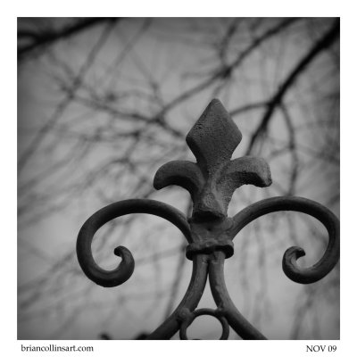 DSC_4197bw-square-50.jpg