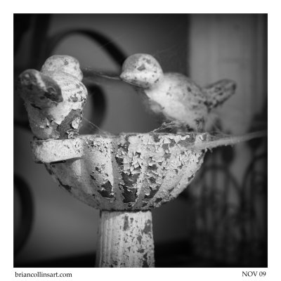 DSC_4248bw-square-50.jpg