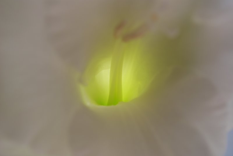 DSC_0249.JPG