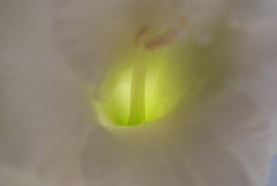 DSC_0249.JPG