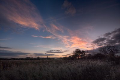 Reedbed sunset