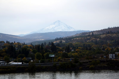 Mt. Hood