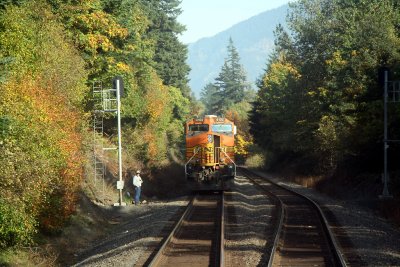 BNSF 4102 West