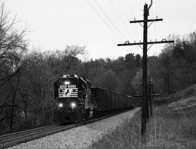 NS 5069 Monochrome