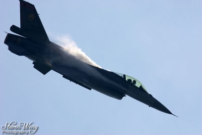 S-3990.jpg