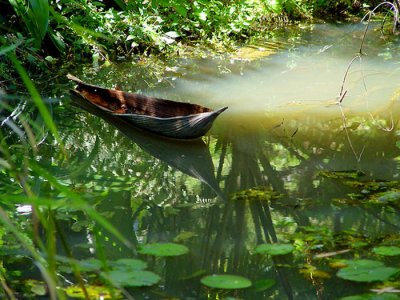 Froggie's Canoe