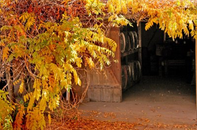 Winery Barrel Room