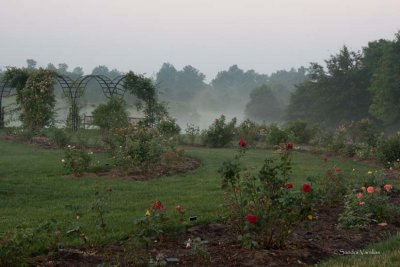 The Arboretum, State Botanical Garden of Kentucky in Lexington