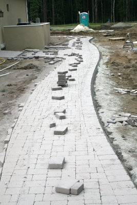 Vasey 77.jpg