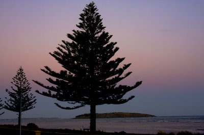 IMG_3175.jpg