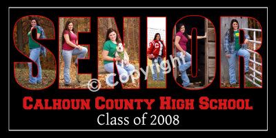 08 Jocelyn SENIOR10x20.jpg