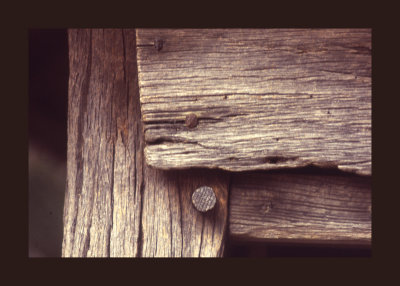 Holland Detail of Old Wood