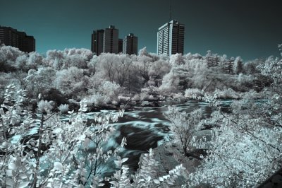 Hogg's Back Falls in False Colour Infrared