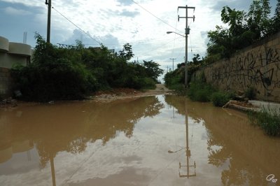 Flooded Street