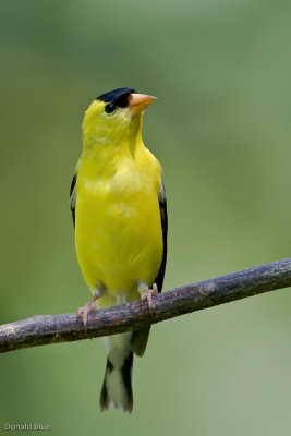 7B7D5419.jpg