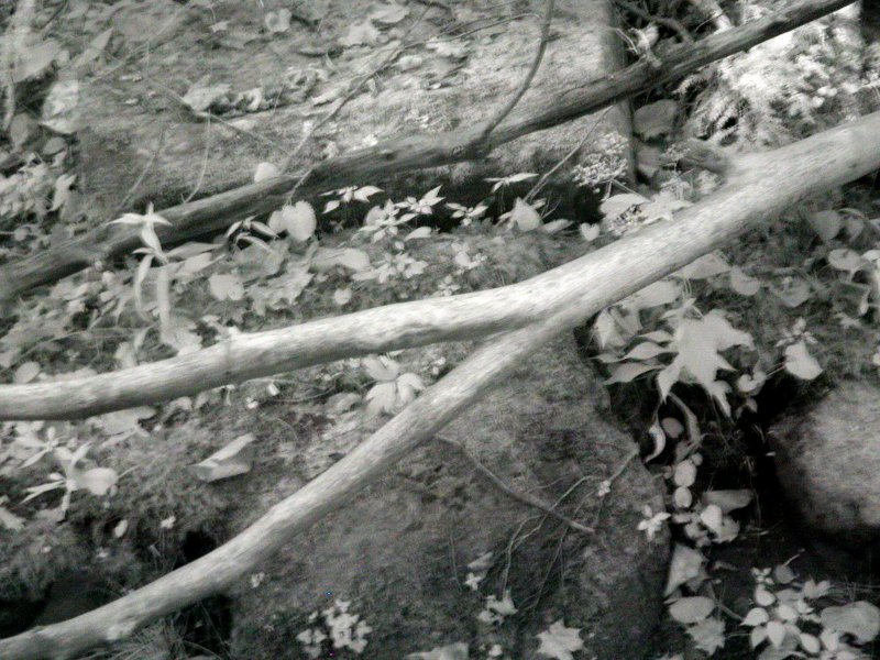 ASTABULA_09_24_08_003.JPG