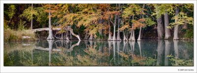 Cypress Reflections, Frio River