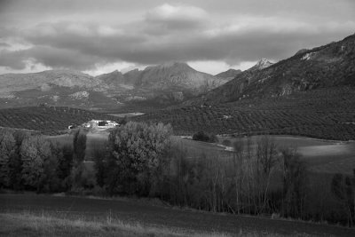 B+W version - the shot taken end October 2009.  As lens is manual, aperture was f8, not f1 as shown nor 1.0mm either..