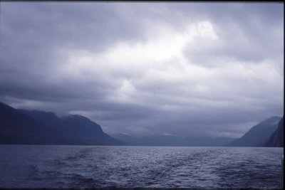 c.hart_Trout River Pond-35mmslidescan_0119.jpg